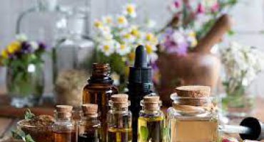 J� conhece os florais de bach?