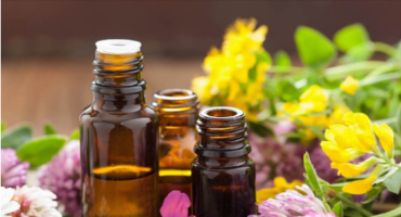 FLORAL PINE: AUTO-PERD�O E MERECIMENTO