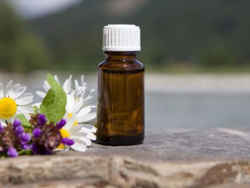 Terapia Com Florais de Bach